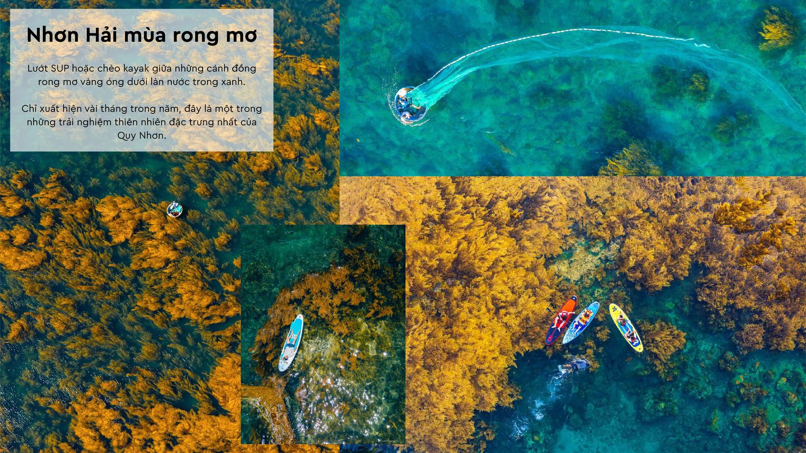 Nhơn Hải mùa rong mơ